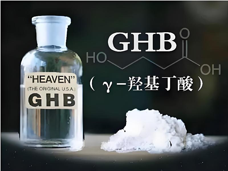 崔迷催药8604-gWL型号